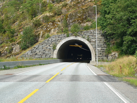 Tunnel de Selta