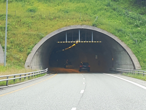 Skui-Tunnel