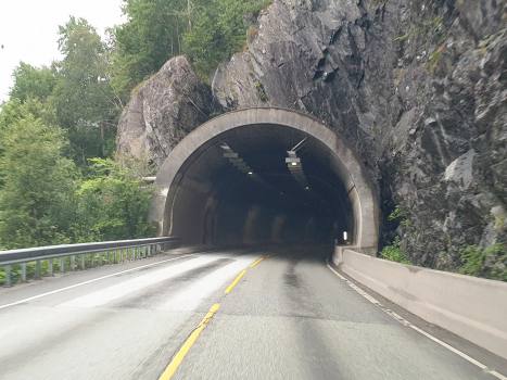 Stavenes Tunnel