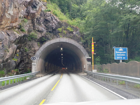 Tunnel de Trengereid