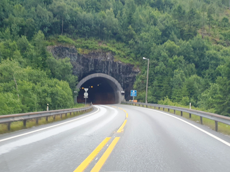 Trengereid Tunnel