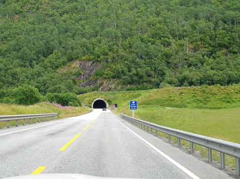Tunnel de Tuftås