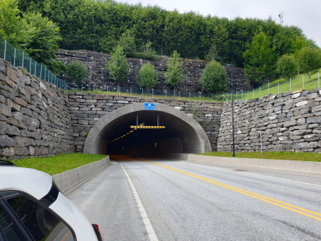 Vang-Tunnel