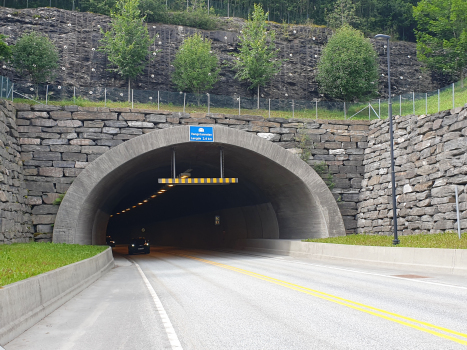 Tunnel de Vang