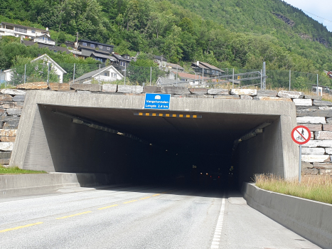 Tunnel de Vang