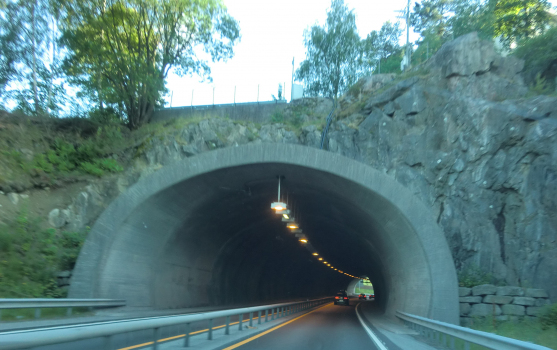 Bieheia Tunnel