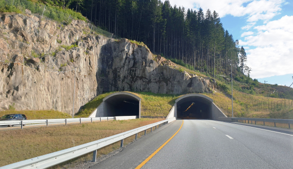 Tunnel de Fløyhei
