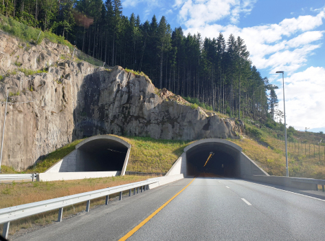 Tunnel de Fløyhei