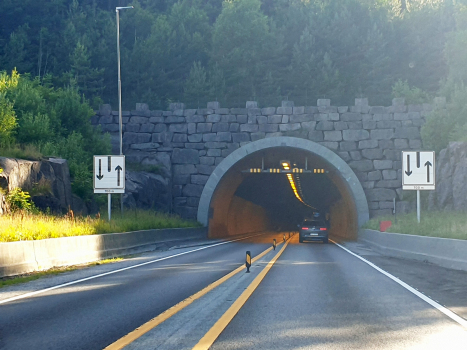 Tunnel de Grimstadporten