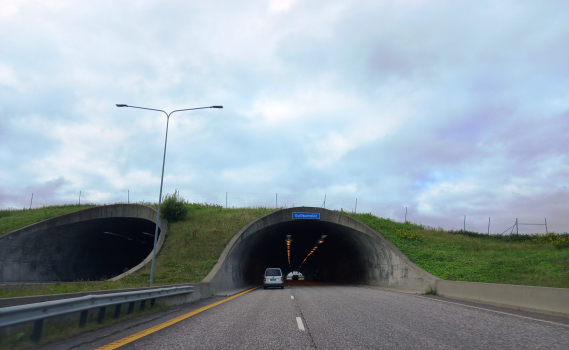 Tunnel de Gulli