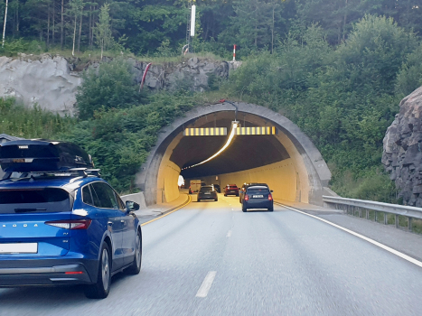 Haumyrhei Tunnel