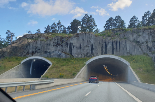 Hesthag Tunnel