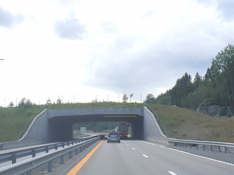 Langrønningen Tunnel