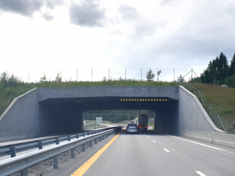 Langrønningen Tunnel