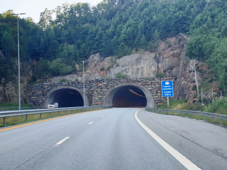 Tunnel de Løehei