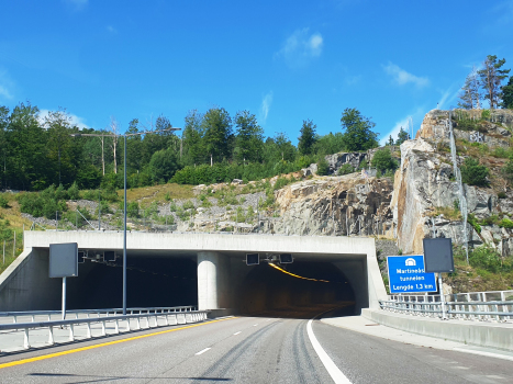 Tunnel de Martineås