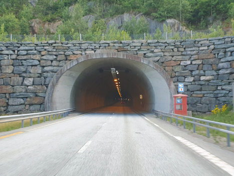 Steinsås Tunnel