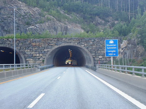 Tunnel de Studehei