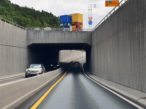 Sydhavnakrysset Tunnel
