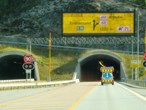 Tunnel de Torsbuås