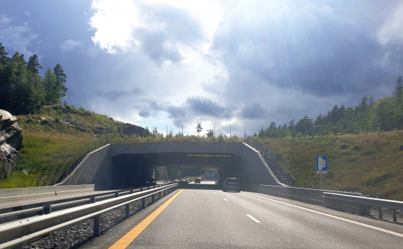 Tunnel de Vardås