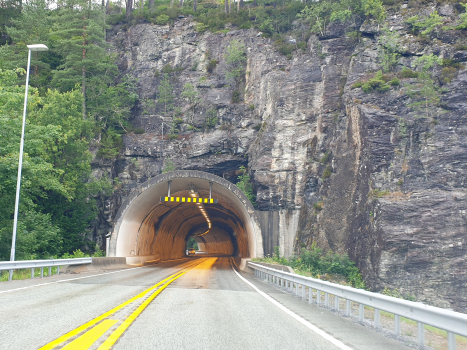 Apal Tunnel