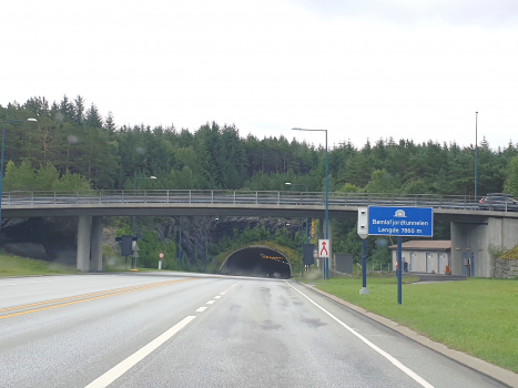 Tunnel du Bømlafjord