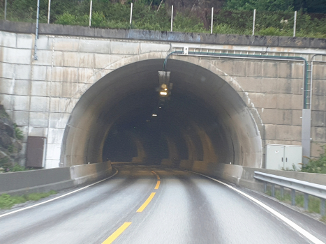 Tunnel Bryningsland