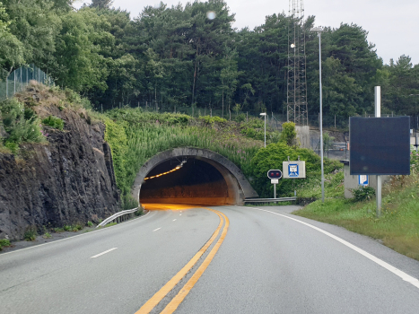 Tunnel du Byfjord