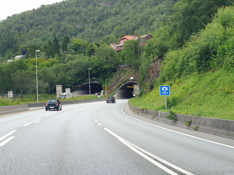 Damsgård Tunnel