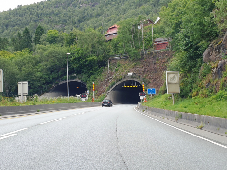 Tunnel de Damsgård