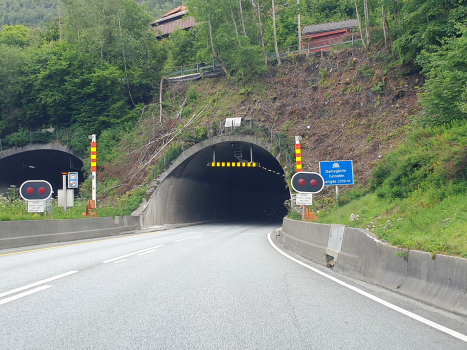 Tunnel de Damsgård