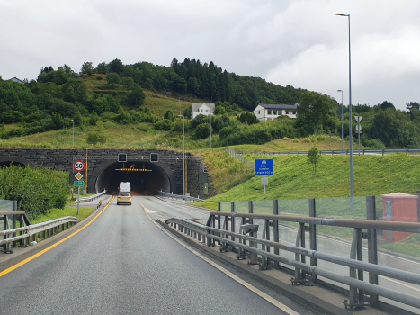 Tunnel de Eikås
