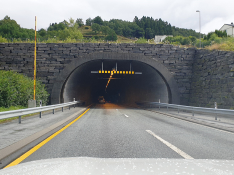 Tunnel de Eikås