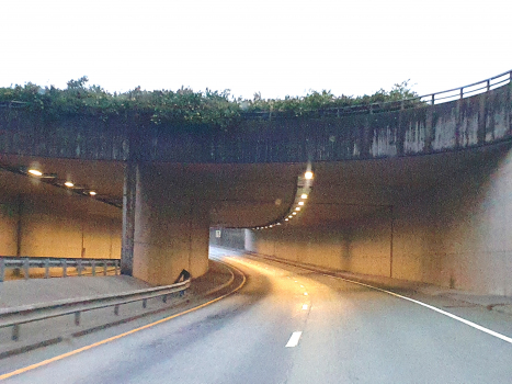 Tunnel de Fjøsanger
