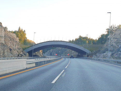 Tunnel de Flegemyra
