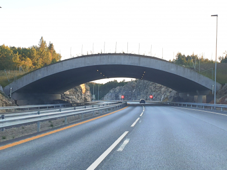 Tunnel Flegemyra