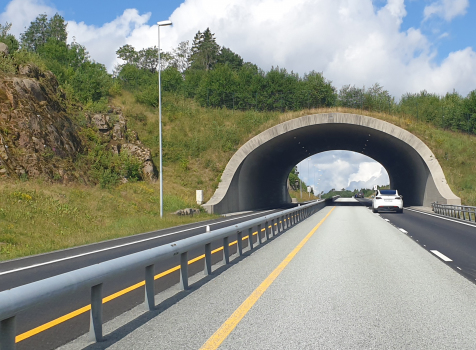 Gjedeland Tunnel