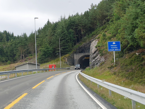Håklepp Tunnel