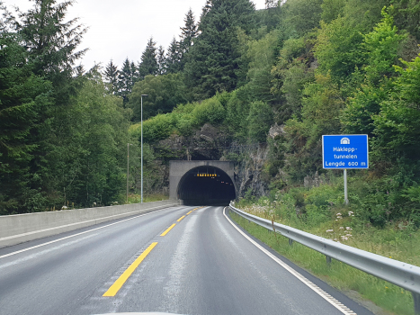 Håklepp Tunnel