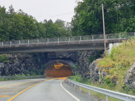 Hjelmås Tunnel