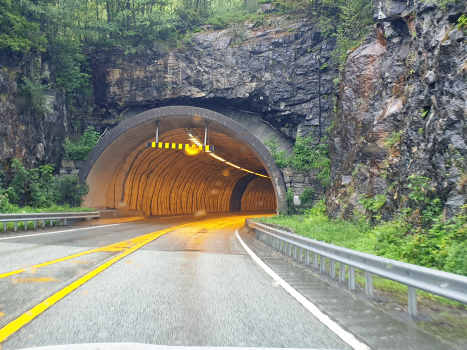 Tunnel de Hjelmås