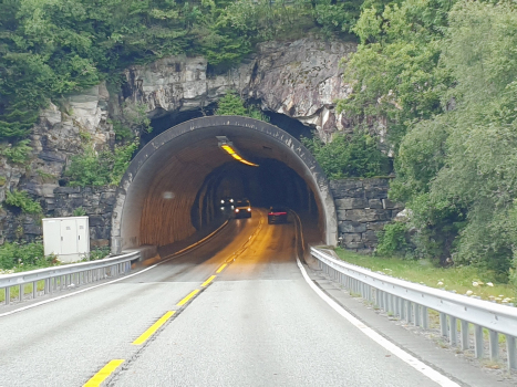 Hjelmåstunnel
