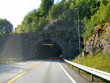 Tunnel Liafjell