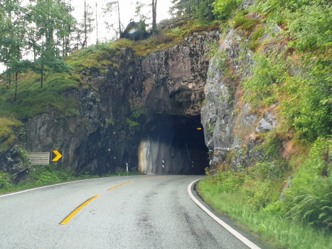 Petit tunnel d'Urdal