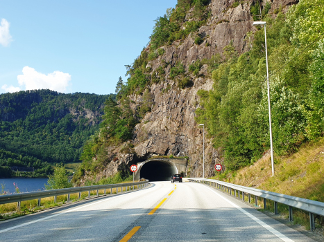 Tunnel Lundevatn