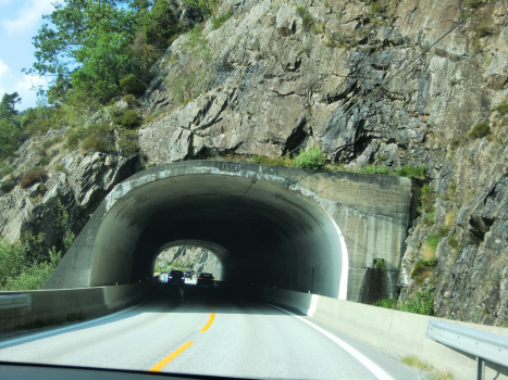 Tunnel Lundevatn