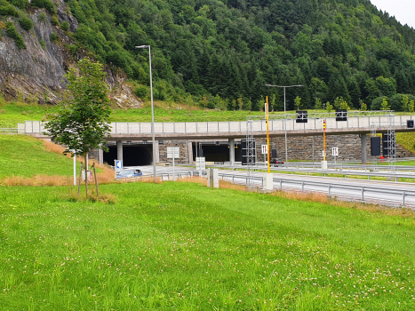 Tunnel Lyshorn
