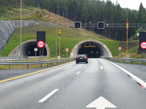 Tunnel de Lyshorn