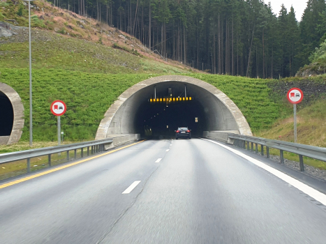 Lyshorn Tunnel